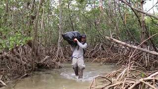 Meet the guy who's cleaning up a Miami Nature Preserve on piece of trash at a time.