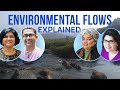 Environmental Water Flows with Kate Brauman and Sejal Worah