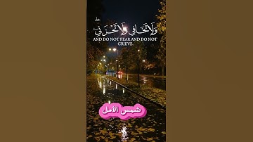 سورةالقصص  لقارئ الدوسري #سورة_القصص  #ياسر_الدوسري #قران_الكريم #chorts #تلاوة_خاشعة #حالات_واتساب