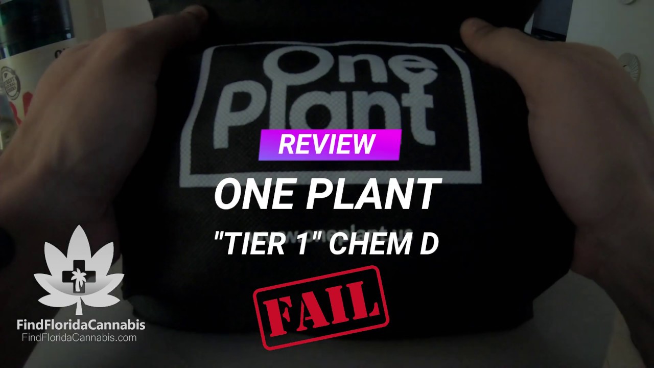 One Plant Florida Dispensary Review (FAIL) - YouTube