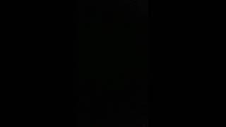 2000 Fisher-Price Mattel Winnie The Pooh Musical Fun Tigger Crib Toy