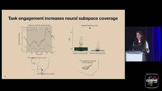 Cosyne 2025 - Session 8: Neural coding