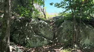 Norvin Green State Forest - July 2024