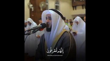 تلاوة مرئية للقارئ مشاري حفظه الله 🫀🤍