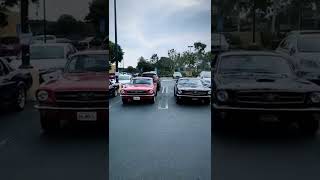 Which one you taking?