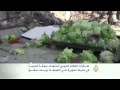 مقتل العشرات بغارات للنظام على
