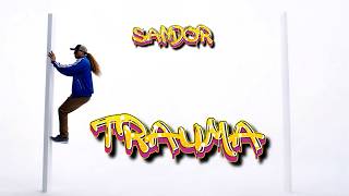 Sandor - Trauma 2025