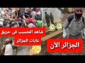 الجزائر الآن وشاهد مخلوقات من نار تحترق وخسائر الحيوانات والقبض على المتسبب فكل فحريق الغابات