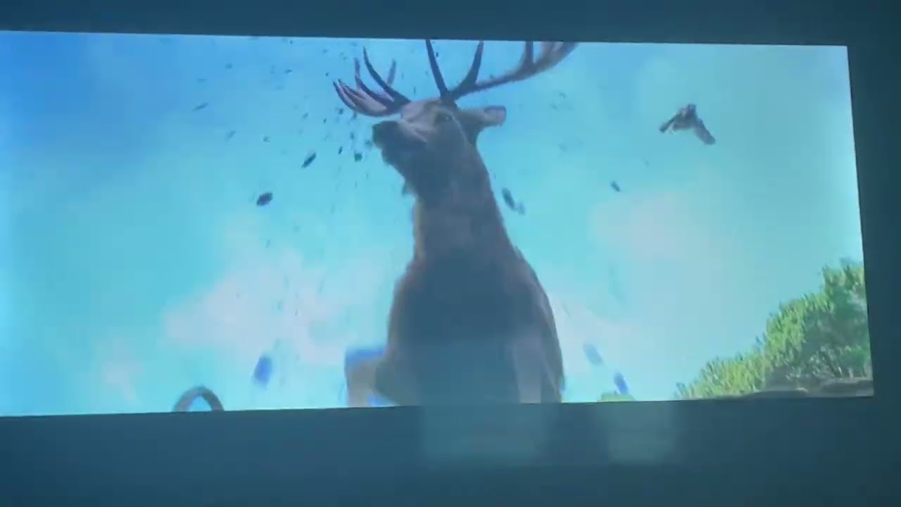 Peter rabbit 2018 parte 5