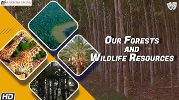 Our Forests and Wildlife Resources | Be an Explorer class 4 | Rachna Sagar