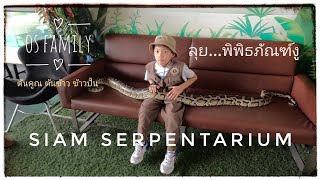 ต้นคูณ ต้นข้าว ข้าวปั้น ลุย...พิพิธภัณฑ์งู Siam Serpentarium