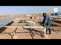 كيف صعدت الطاقة الشمسية كبديل اقتصادي مُهم في السودان؟