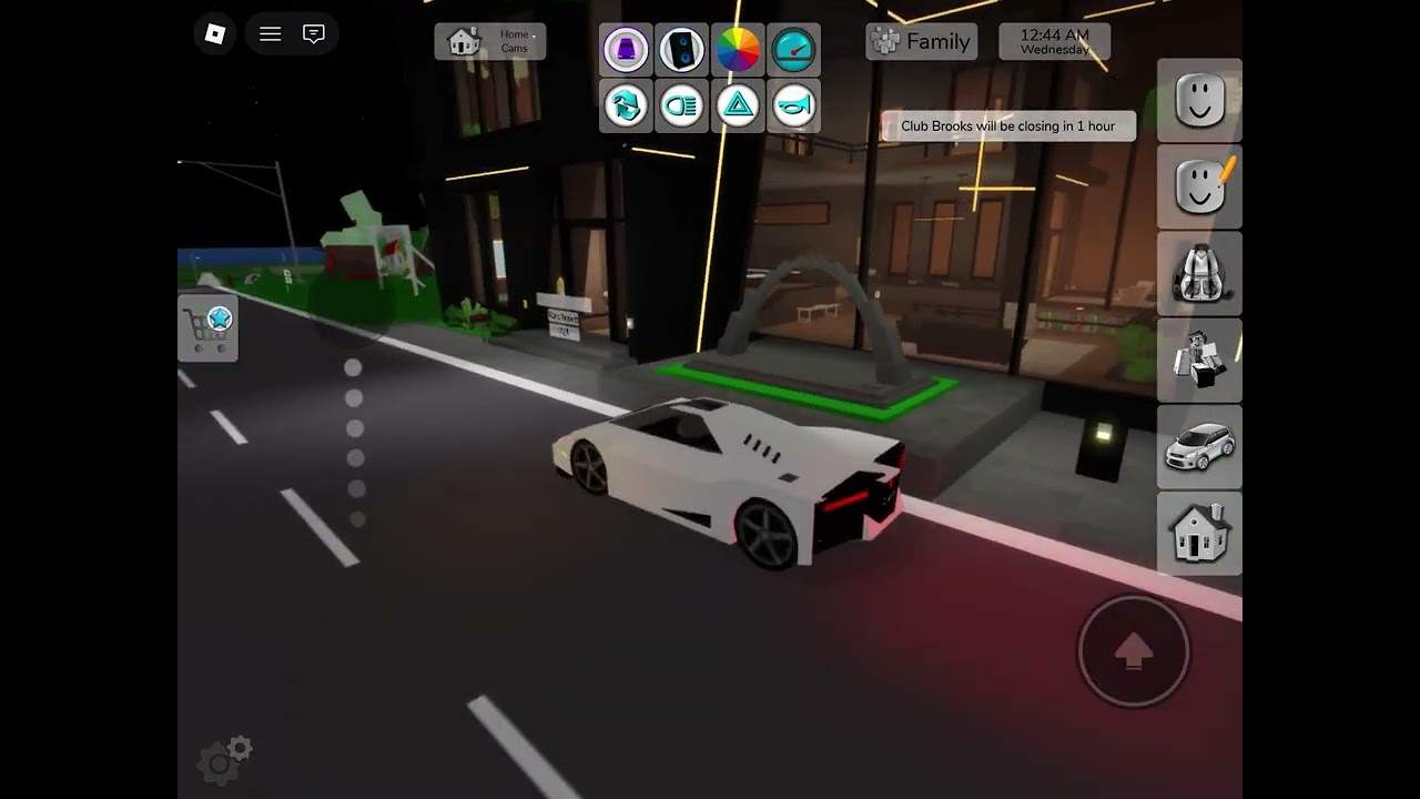 Brookhaven my first time doing a video on YouTube!