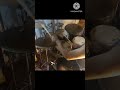 Aqua Timez - 淋しき我ら #drumcover #drums #anime #short #jrock #japan #music #rock #aquatimez