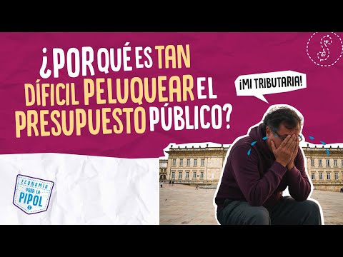 ¿Por qué es tan difícil recortar los gastos del gobierno en Colombia? | Economia para la Pipol