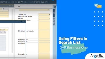 Using Filters in Search List | SAP Business One