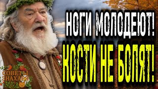 картинка: Ноги болят! Кушать и слушать это после 60 и силы вернуться. ЗНАХАРЬ