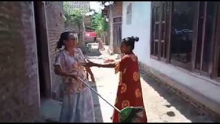 STORY WA ayam masuk rumah tetangga dapet uang 10juta/kocak🤣