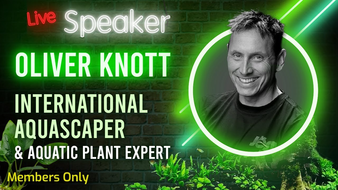 Aquarium Co-Op Club: Oliver Knott - International Aquascaper