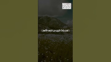 لا يغرنك تقلب الذين كفروا في البلاد #تلاوة_خاشعة #المصحف #قرآن #راحة_نفسية