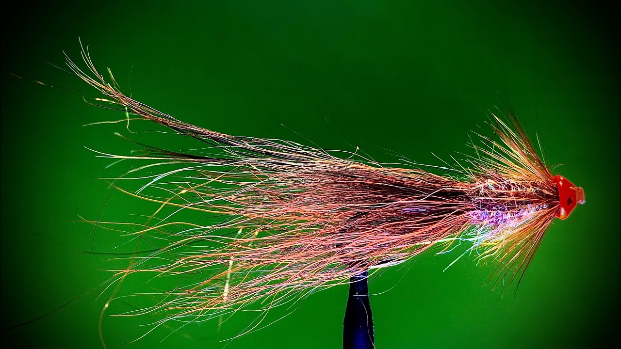 snaelda fly