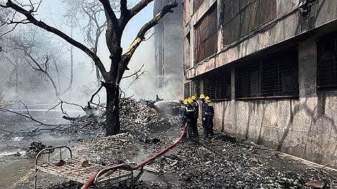 Жертвами авиакатастрофы в Индии стали более 240 человек, один пассажир выжил