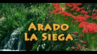 Miniatura de vídeo de "Arado - La Siega"