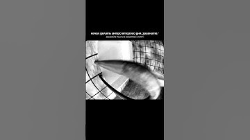 Йоу вот такие дела да #визуальнаяновелла #indiedev #gamedevblog #gamedev