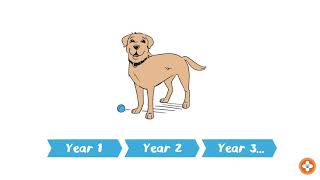 Dog Vaccination Needs
