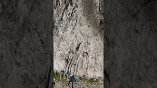 Raindogs 8A