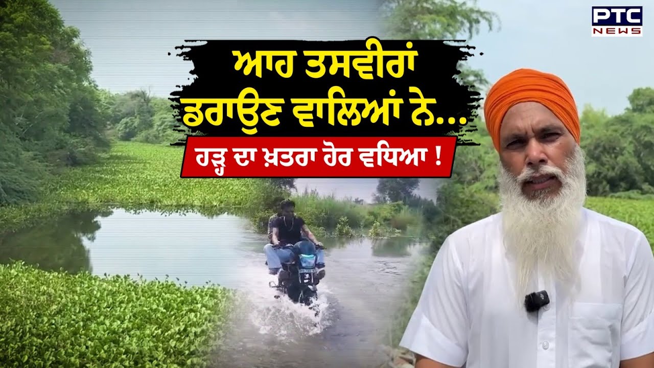 Bathinda Drainge System : ਹਰੀ ਬੂਟੀ ਨਾਲ ਡਰੇਨ ਨੱਕੋ-ਨੱਕ ਭਰੀ, ਨੇੜਲੇ ਪਿੰਡਾਂ ਨੂੰ ਸਤਾਉਣ ਲੱਗਾ ਹੜ੍ਹ ਦਾ ਖ਼ਤਰਾ