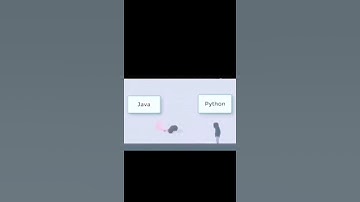 Java vs Python 🔥😂😂😂😂 #memes #codingmemes #codewithdani#memes #codewithdani#codingmemes#shorts