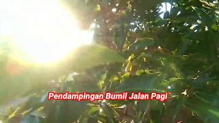 Bumil Jalan Sehat Pagi Persiapan Lahiran