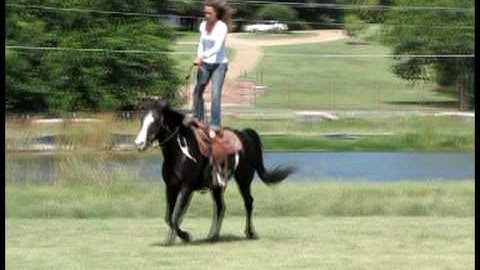 Princess Peponita - aka "Nike"     ***For up-to-date info, price, etc., go to our website***