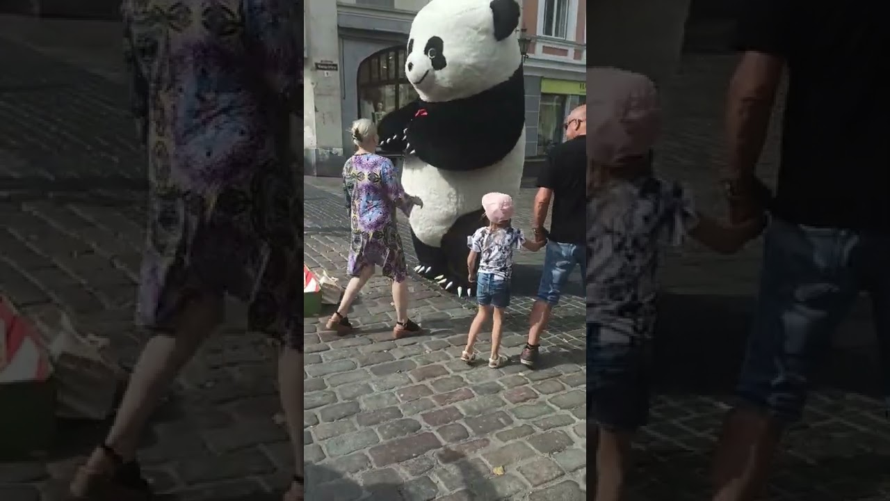 Надувной огромный Медведь Панда в старом городе Таллина, часть 2