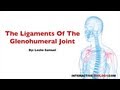 Understanding the Ligaments of the Glenohumeral Joint