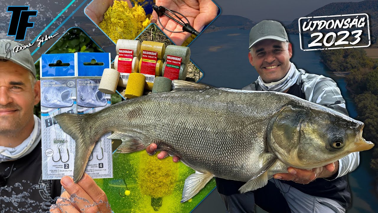 Sipos Gábor - A Busa program