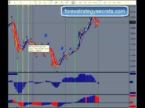 Free forex education videos