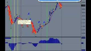 Forex ultra scalper ea