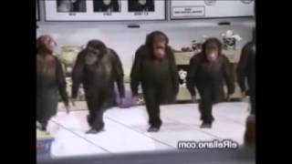 Benny Hill Riverdance Monkeys Remixed By Peter Duffy @ bored.com