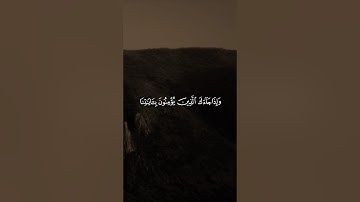 وإذا جاءك الذين يؤمنون بآياتنا فقل سلام عليكم كتب ربكم على نفسه الرحمة ..| سعد الغامدي