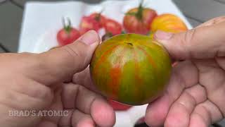 A Tomato Review from my Garden this year 2022