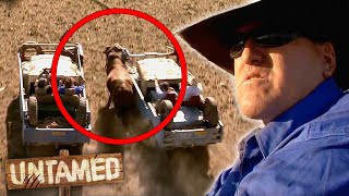 Download lagu Milton and The Crew Give Chase To Some Runaway Bulls! | Keeping Up With The Joneses S01E14 | Untamed