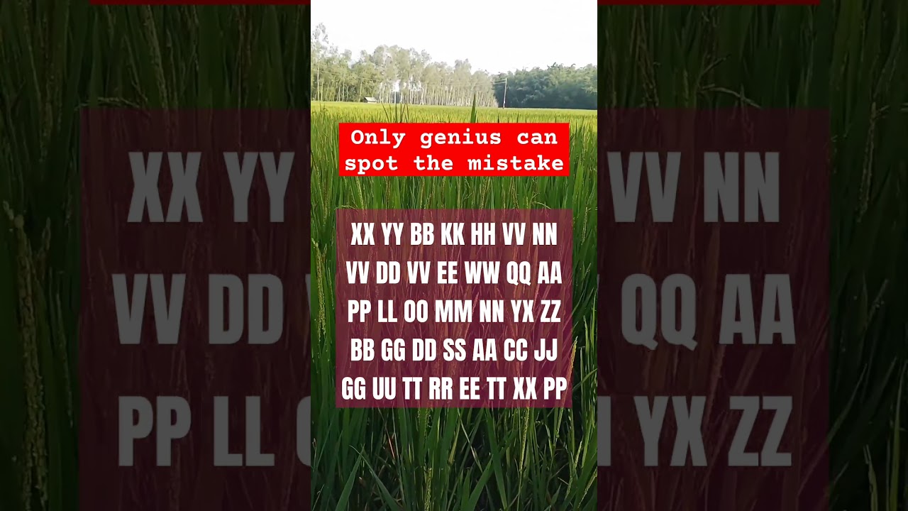 Observation Visual Test: 5 Second For You To Spot 