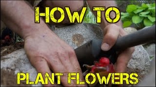 How to Plant FLOWERS the EZ Way - Landscaping and Gardening Tips