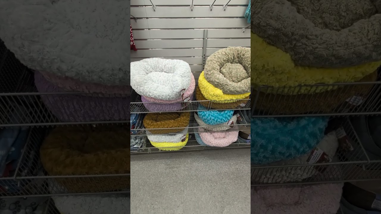 Daily deals and finds from Costco, Dollarama, Amazon and more!