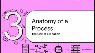 What Really Happens When Your Code Runs | Anatomy of a Process Section Intro