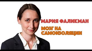 МАРИЯ ФАЛИКМАН. МОЗГ НА САМОИЗОЛЯЦИИ #BeMyScience