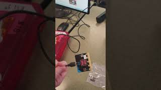 Microbit Activity: Virtual Dice