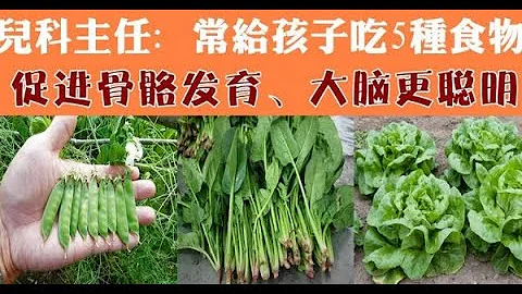 儿科主任：常给孩子吃5种食物，促进骨骼发育，大脑更聪明 - 天天要闻